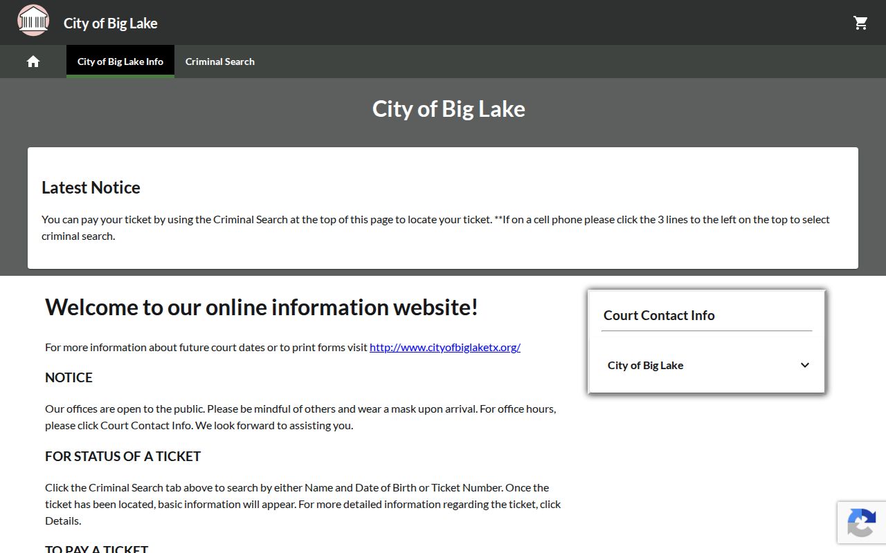 Reagan County traffic warrant guidance and Big Lake citation payment portal